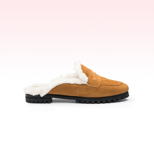 Mule Anice Camel